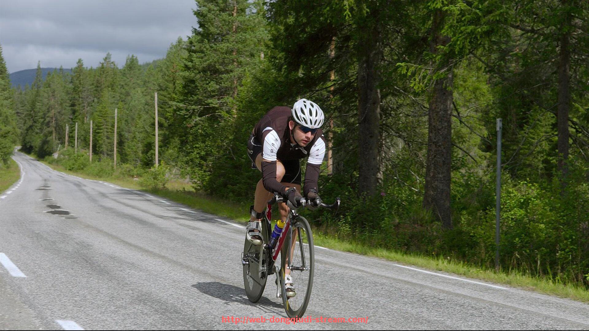 懂球帝直播-世俱杯球迷文化研究报告：全球各地支持者的共性与差异