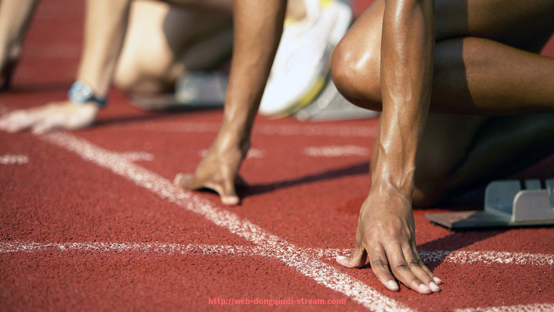 懂球帝直播-南京CBA球队主教练简介及执教风格解析