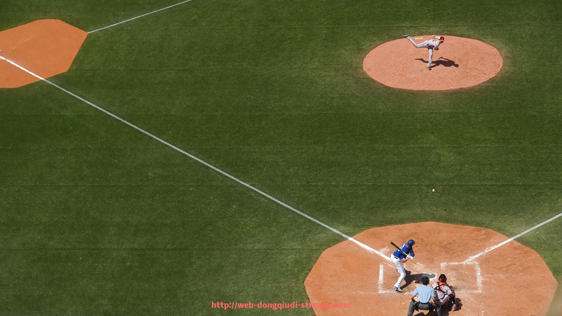 懂球帝直播-史蒂飞品牌健身器材特点及市场表现分析