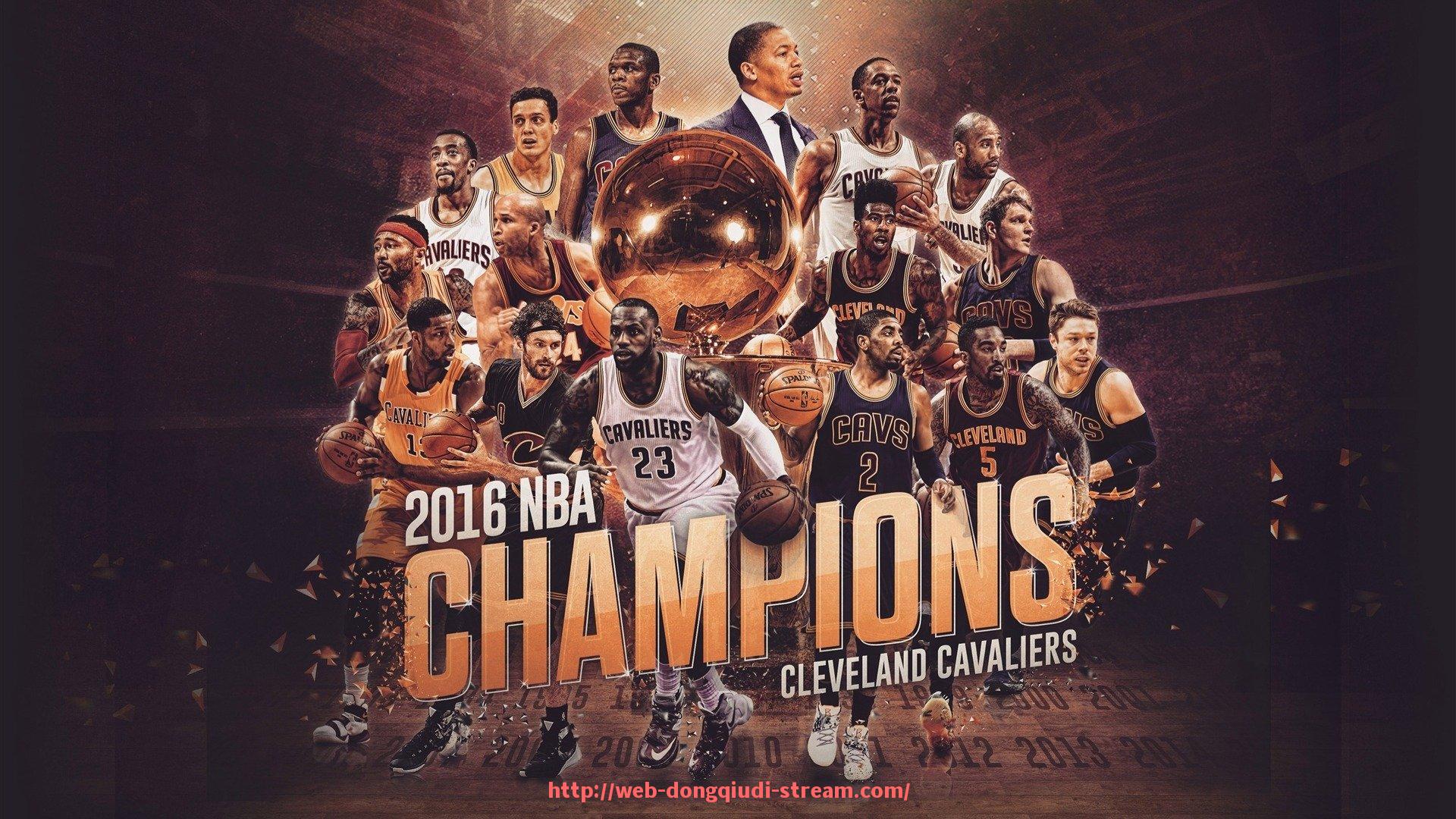 懂球帝直播-史蒂飞品牌健身器材特点及市场表现分析