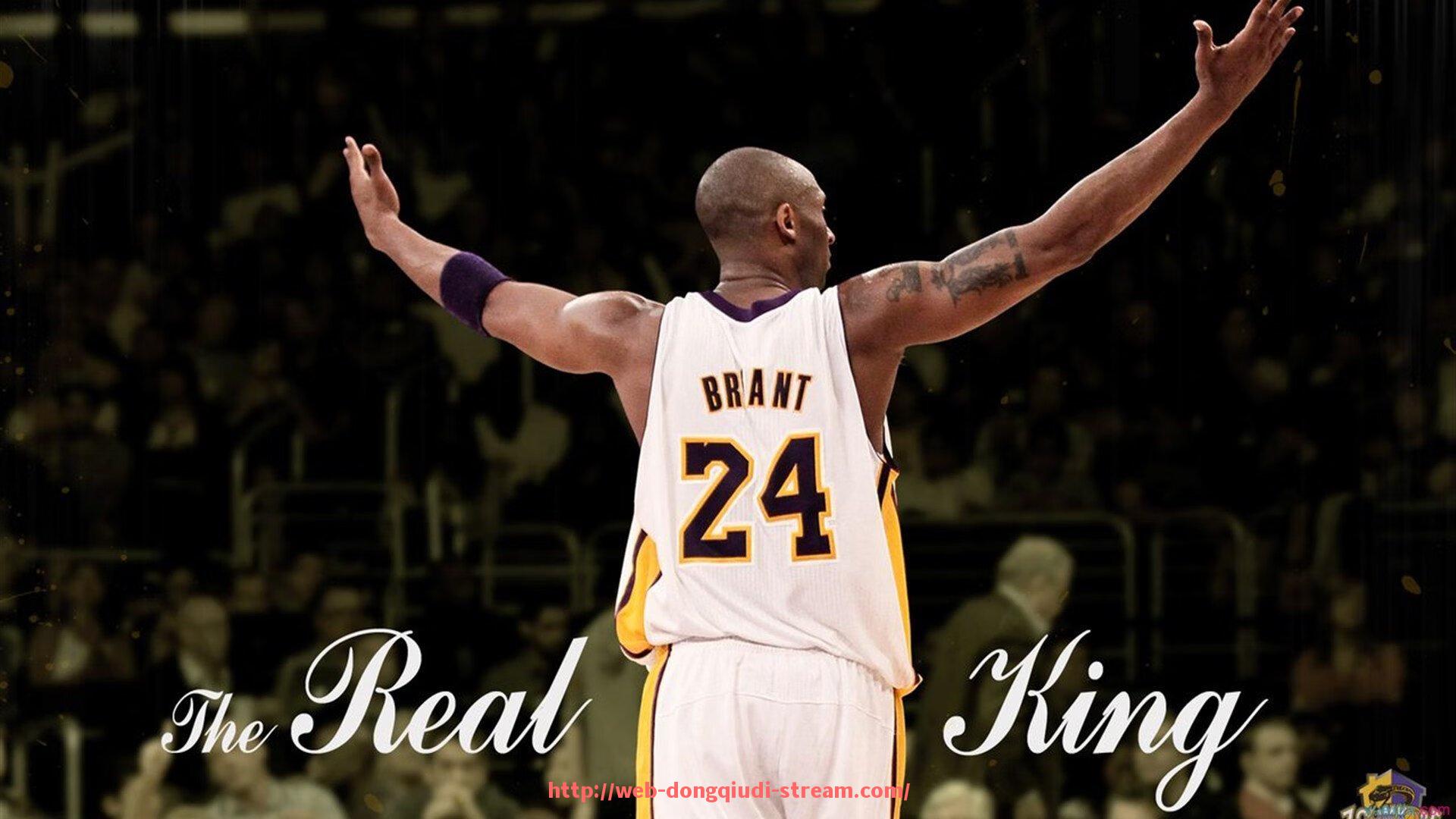 懂球帝直播-湖人队在2024年休赛期的引援策略是否有助于重返争冠行列